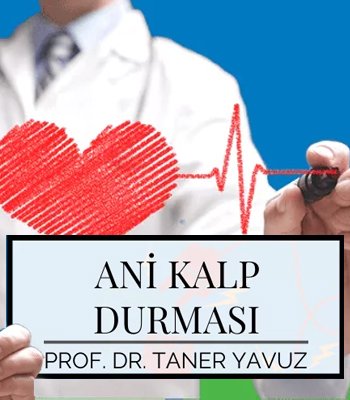 Ani Kalp Durması