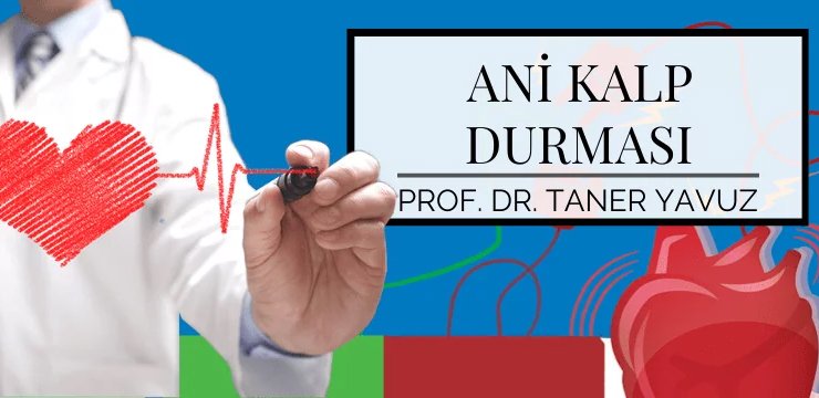 Ani Kalp Durması