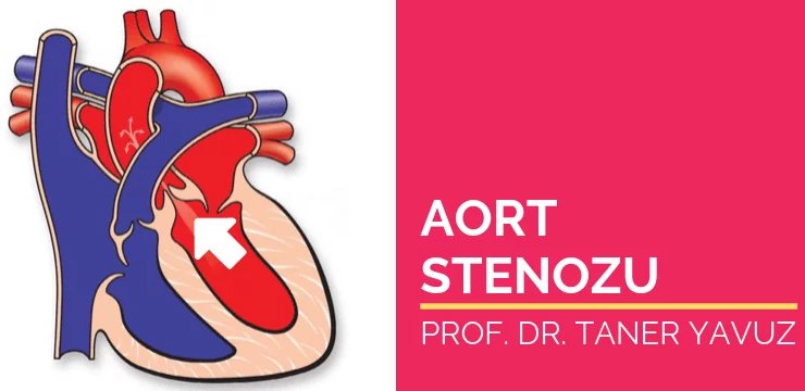 Aort Stenozu (Aort Kapak Darlığı)