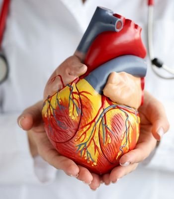 ASD (Atrial Septal Defekt) | Kalpte Delik