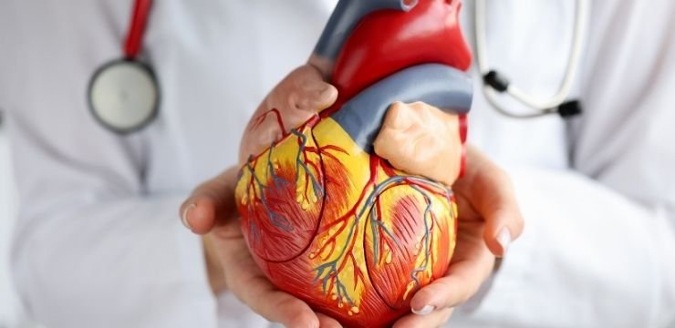 ASD (Atrial Septal Defekt) | Kalpte Delik