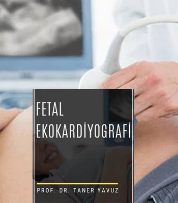 Fetal Ekokardiyografi