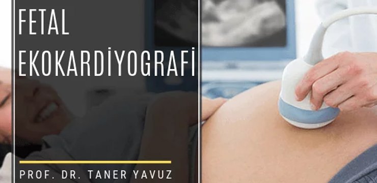 Fetal Ekokardiyografi