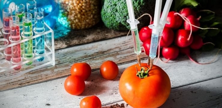 Genetiği Değiştirilmiş Gıdalar