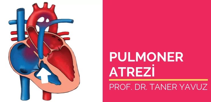 Pulmoner Atrezi