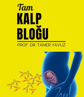 Tam Kalp Bloğu