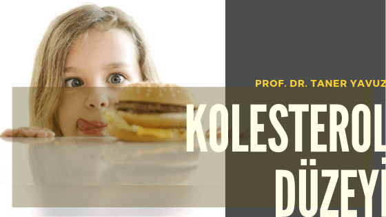 Kolesterol Düzeyi