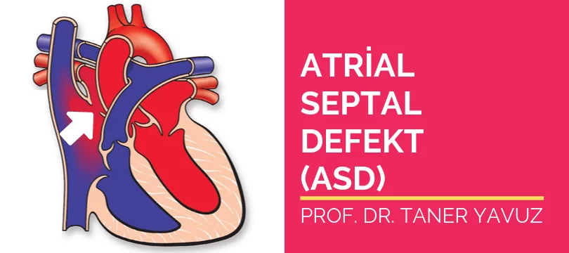 Atrial septal defekt ASD